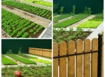 Реализованные объекты: огороды